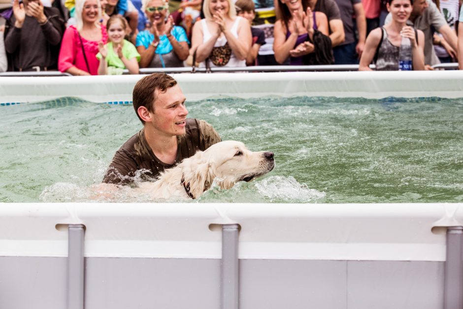 Šunų šuolių į vandenį turnyras