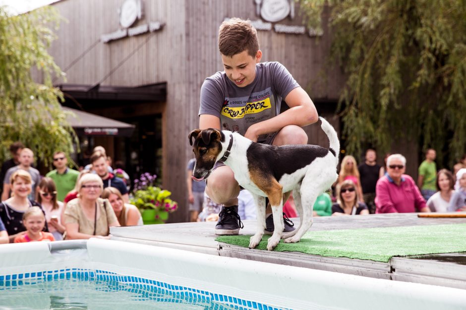 Pirmasis šunų šuolių į vandenį turnyras Lietuvoje: kova buvo įtempta