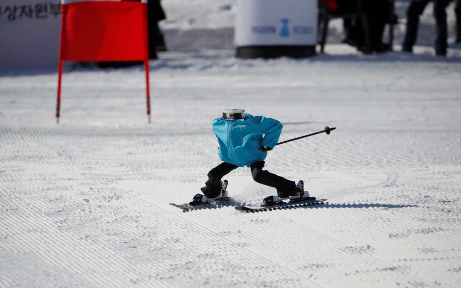 Robotų slidinėjimo lenktynės