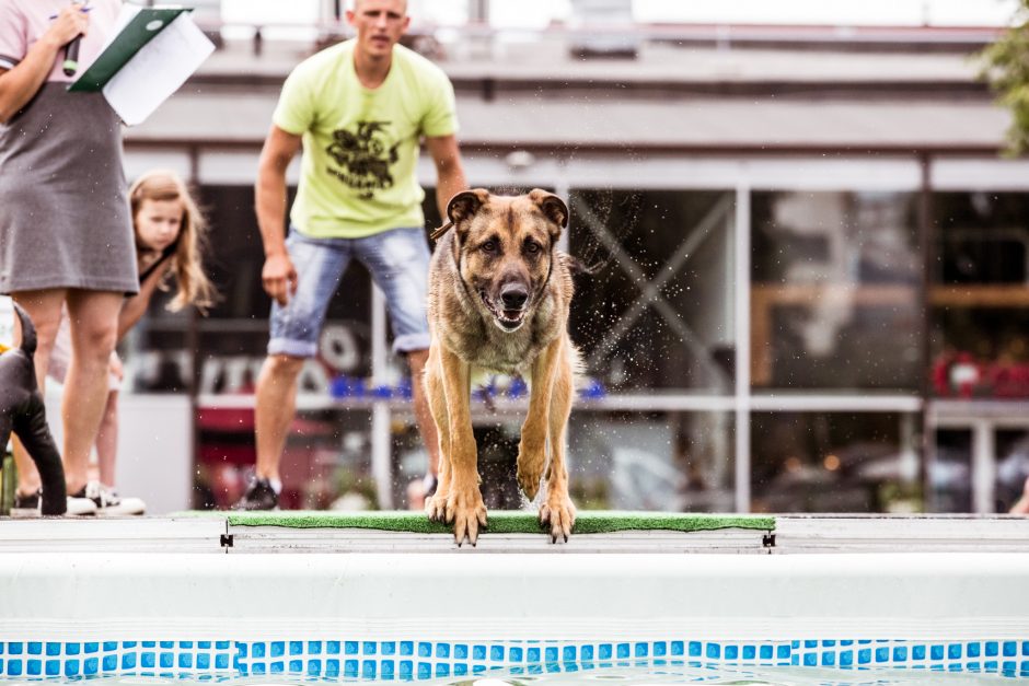Pirmasis šunų šuolių į vandenį turnyras Lietuvoje: kova buvo įtempta