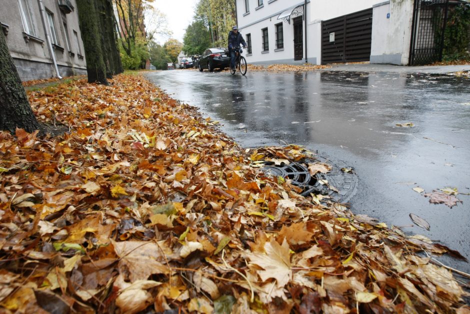 Prapliupus lietui, krintantys lapai pridaro bėdų: technika gatvėse sukinėsis dažniau