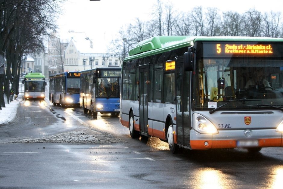Teismas pripažino: „Klaipėdos autobusų parkui“ skirtos per didelės sankcijos