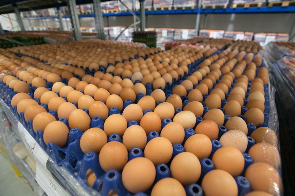 Lietuvos kiaušinių, pieno ir žuvies produktų gamintojams leista eksportuoti į Taivaną