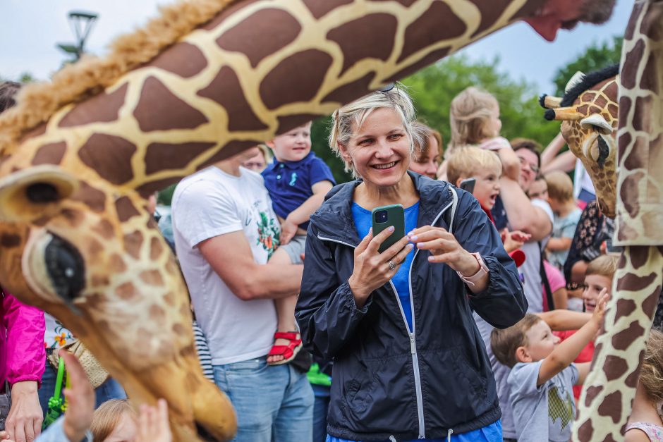 Kauniečius džiugina festivalio „ConTempo“ žirafos