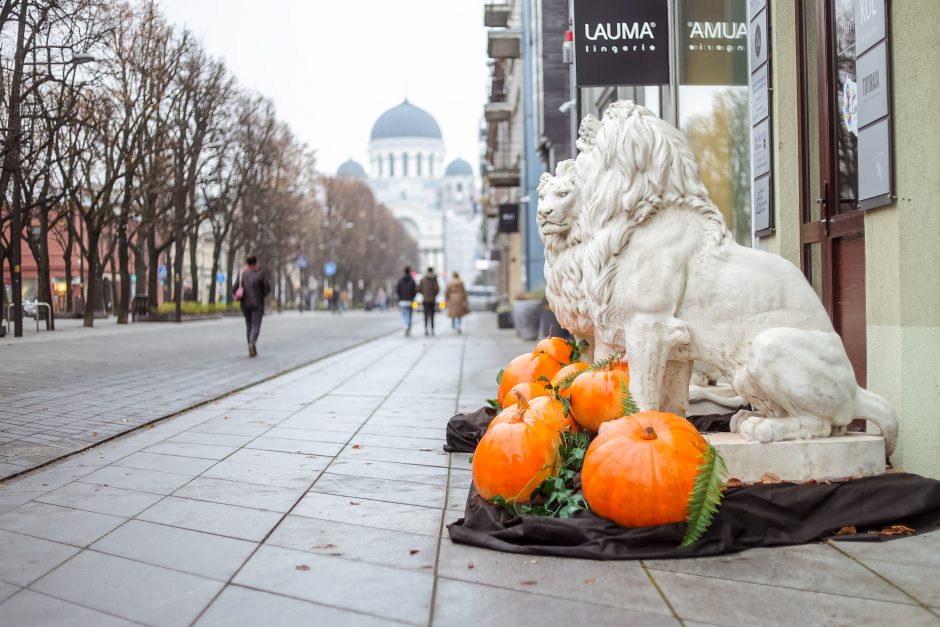 Kaunas pasipuošė Helovinui: mieste pilna žavių moliūgėlių