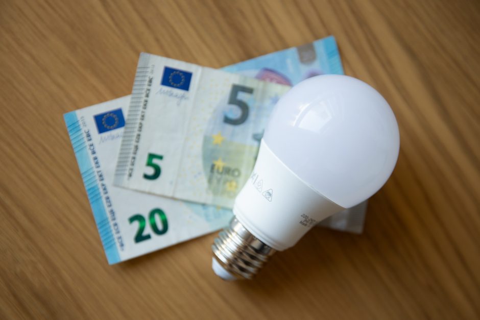 I. Žilienė: dėl elektros kainų kompensavimo nuo liepos bus sprendžiama gegužę