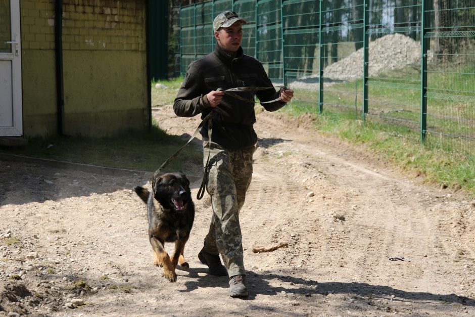 Šunys Ukrainoje gelbės gyvybes: lietuviai moko juos ieškoti minų