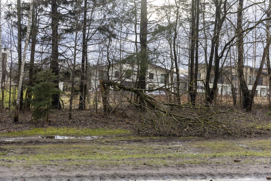 Stiprus vėjas siautėja Lietuvoje: varto medžius, jachtas ir šviesoforus