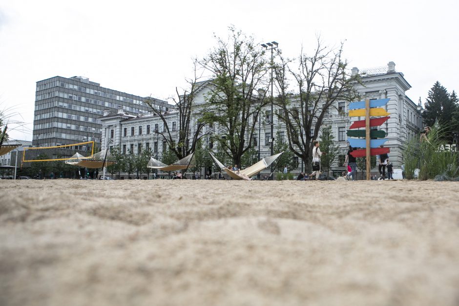 R. Šimašius: Seimo iniciatyva neįpareigos pašalinti paplūdimio