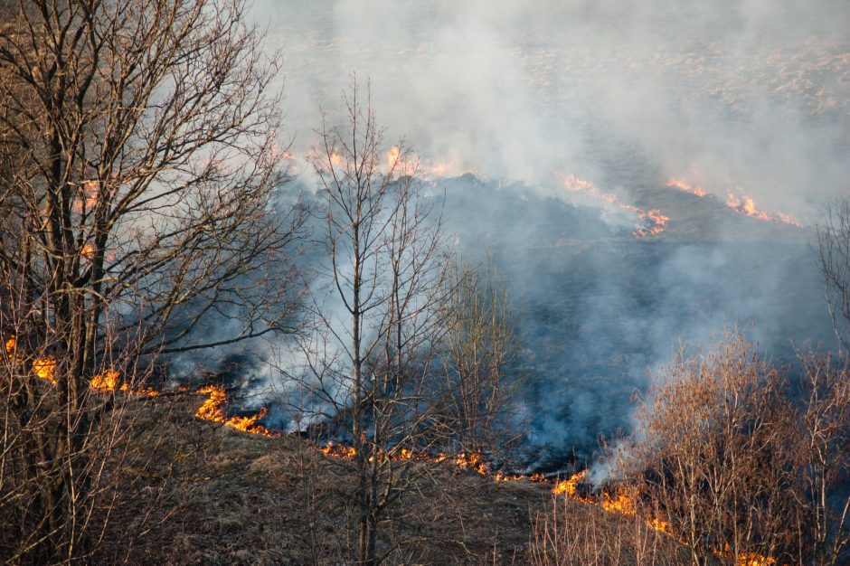 Vilniaus rajone – didžiulis žolės gaisras: ugnis gali persimesti į pastatus