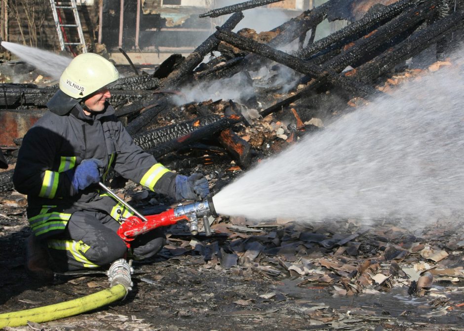 Trakų rajone nuo žaibo sudegė namas – liko tik pamatai