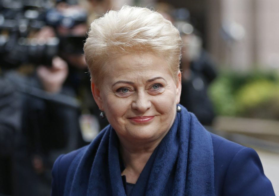 D. Grybauskaitė statysis namą