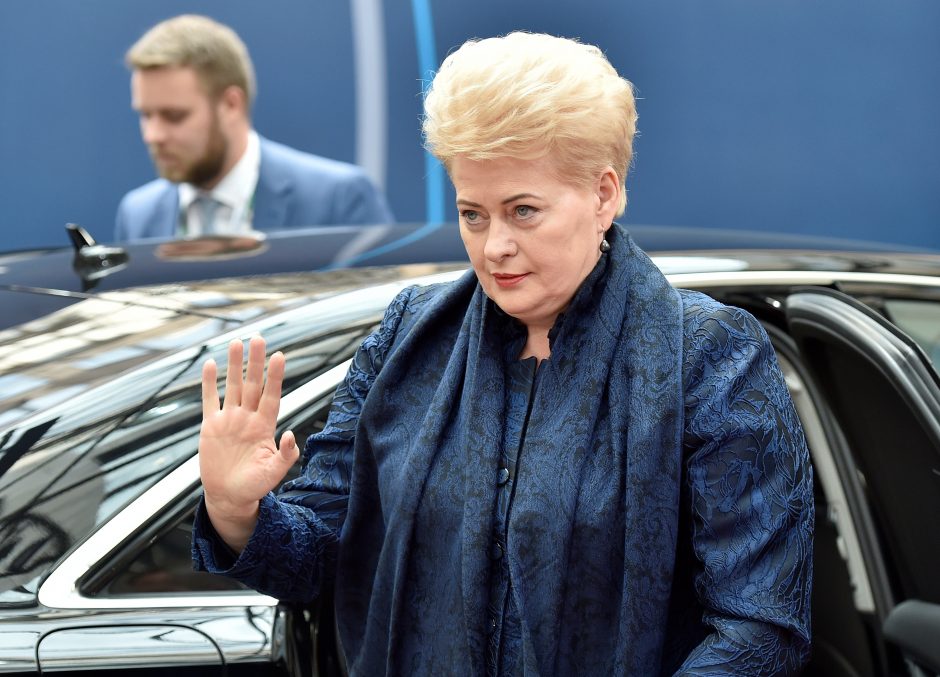 Naujas Lietuvos prezidentas: revoliucija ar įpėdinystė?