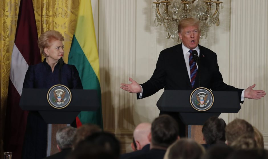 D. Grybauskaitė atsargiai vertina D. Trumpo ir V. Putino susitikimą