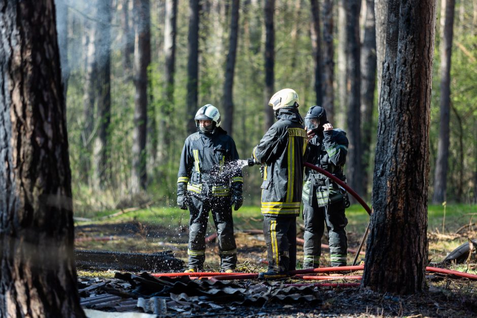 Įspėja būti atsargius saugomose teritorijose: miškų gaisringumas didėja