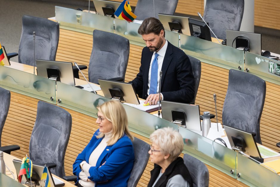 A. Širinskienė: svarbu atskleisti, kiek parlamentarų palaiko M. Majauską