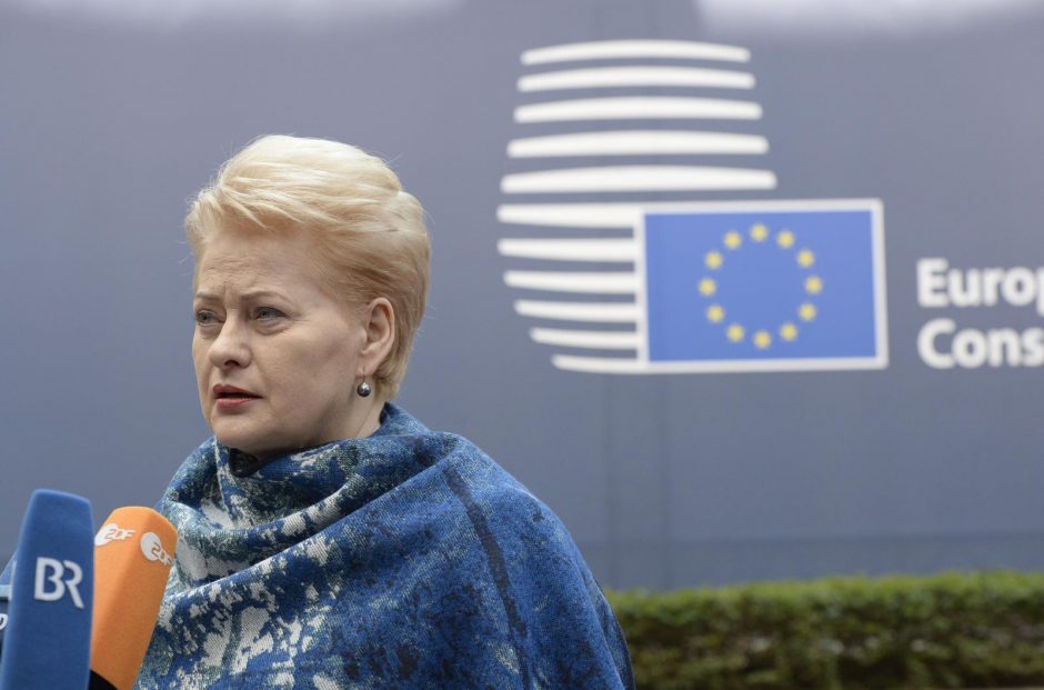 D. Grybauskaitė: ES susitarimas su Turkija nereiškia naujų migrantų kvotų