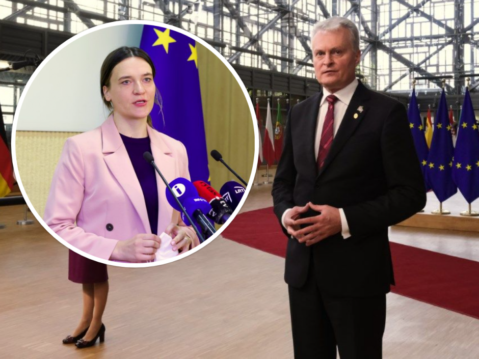 R. Morkūnaitė-Mikulėnienė: prezidentas dėl migrantų EVT buvo pernelyg santūrus