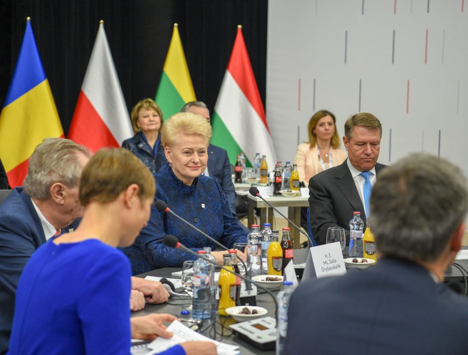 D. Grybauskaitė – NATO valstybių vadovų susitikime