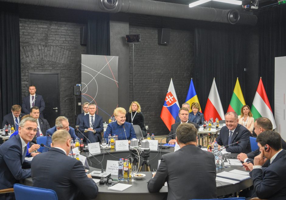 D. Grybauskaitė – NATO valstybių vadovų susitikime