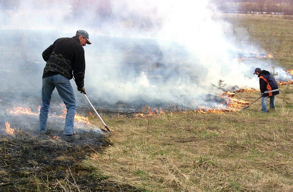 Žolės gaisrai – pavojus gamtai