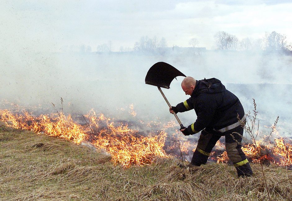 Šventinį savaitgalį ugniagesiai gesino 250 žolės gaisrų