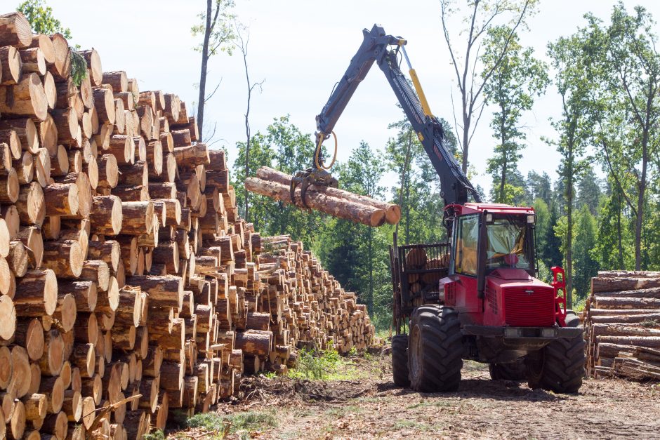 Po miškų reformos medienos perdirbėjai revoliucijos nelaukia