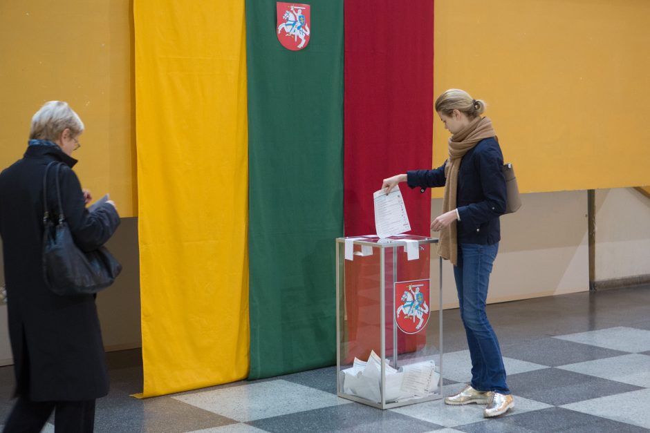 Konstitucinis Teismas gavo užduotį dėl dvigubos pilietybės referendumo