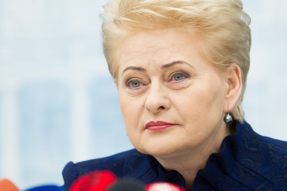D. Grybauskaitė: niekam „stogų“ nedalinau