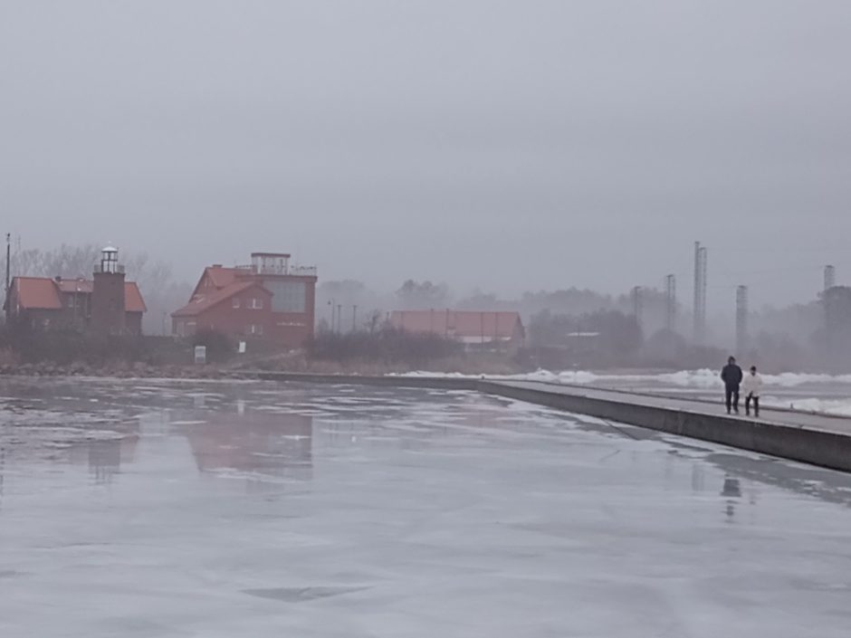 Sausio 1-ąją Nemunas ties Rusne išsivadavo iš ledo gniaužtų