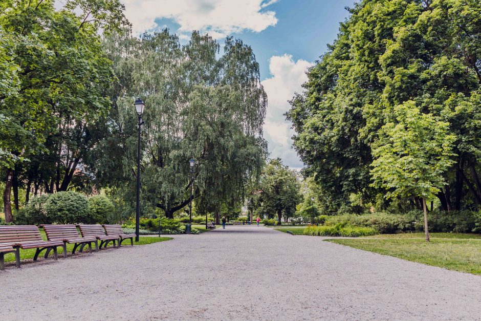 Mokslininkai tyrė Vilniaus parkų saugumą: visiškai saugūs – tik du