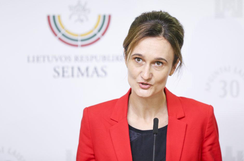 V. Čmilytė-Nielsen: balsavimas dėl dekriminalizavimo partneriams neturėjo būti staigmena 