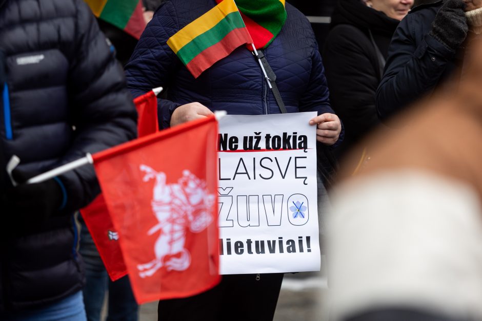 R. Šimašius: prieš 31-erius metus Lietuvos žmonės turėjo bendrą tikslą