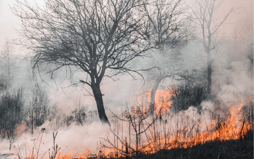 Dėl gaisrų pavojaus gamtoje ugniagesiai dronais žvalgys miškus ir pievas