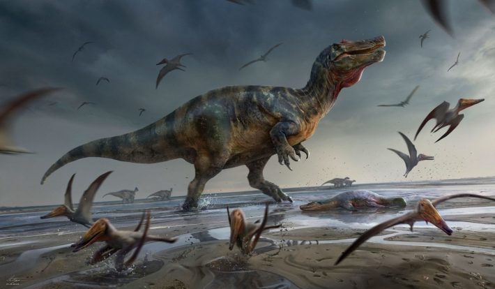Britanijoje rasta stambiausio iki šio Europoje aptikto plėšraus dinozauro fosilijų