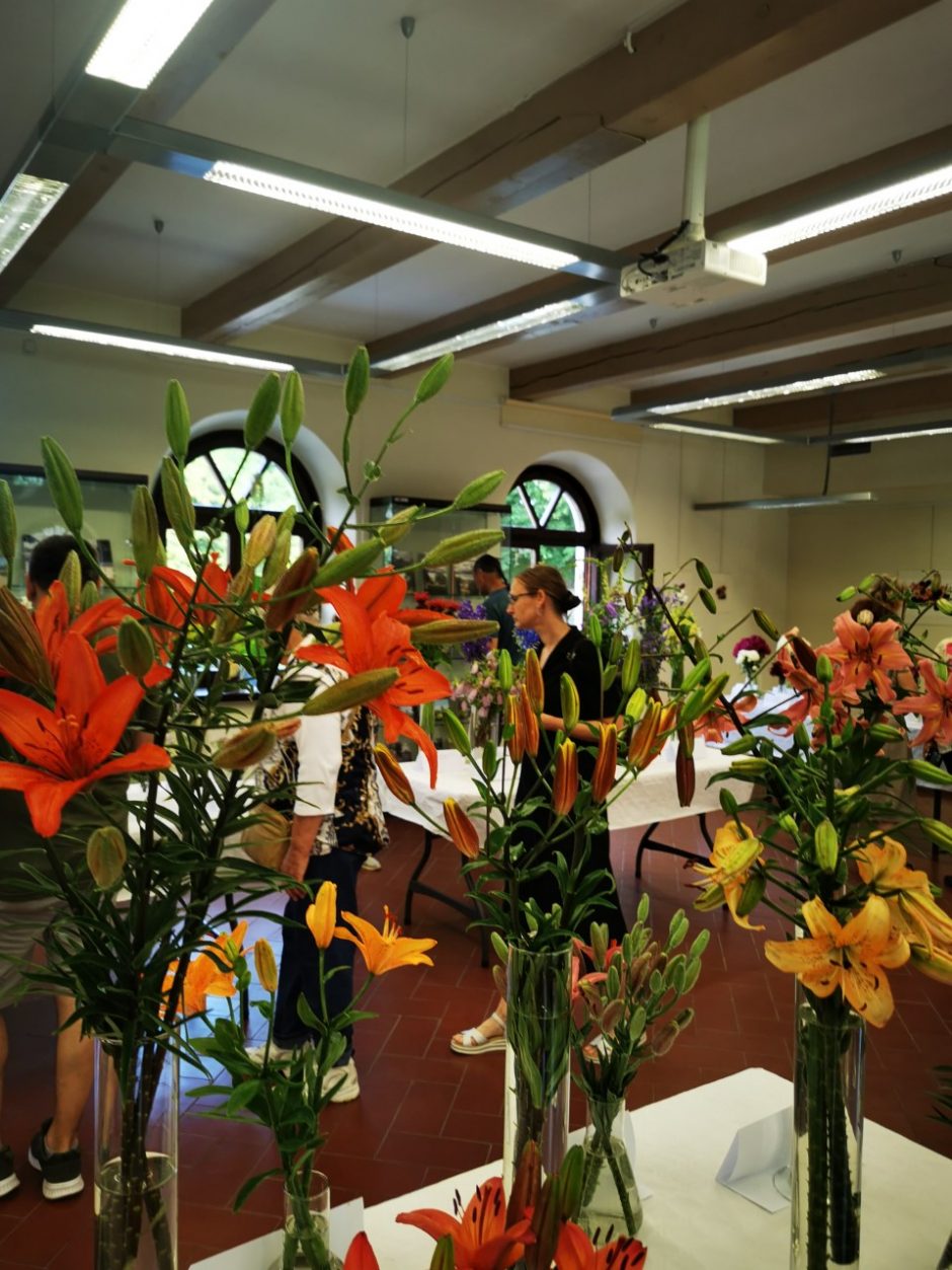 VU botanikos sode – jau aštuntoji gėlių paroda