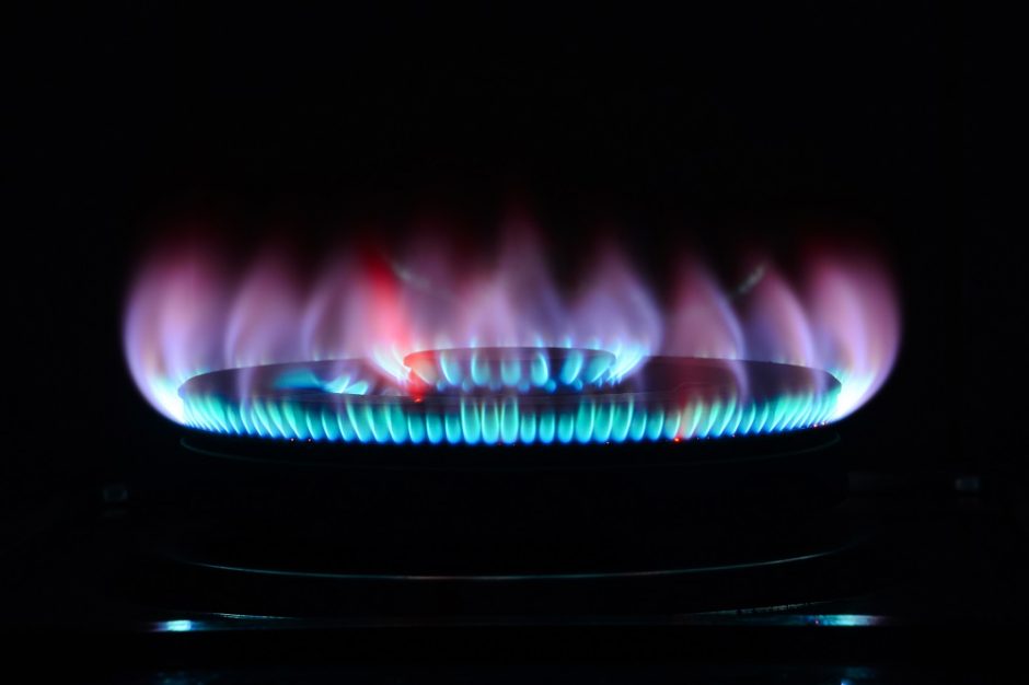 Vyriausybė pritarė elektros ir dujų kainų kompensacijoms gyventojams