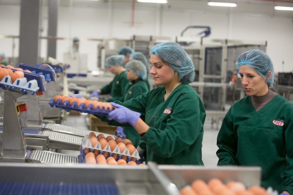 ŽŪM: Lietuva rudenį į Taivaną galės vežti kiaušinius, pieno ir žuvininkystės produktus