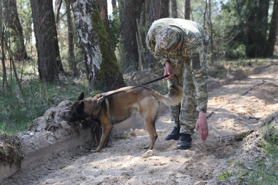 Lietuvos kinologai Ukrainos pasieniečių šunis moko ieškoti minų