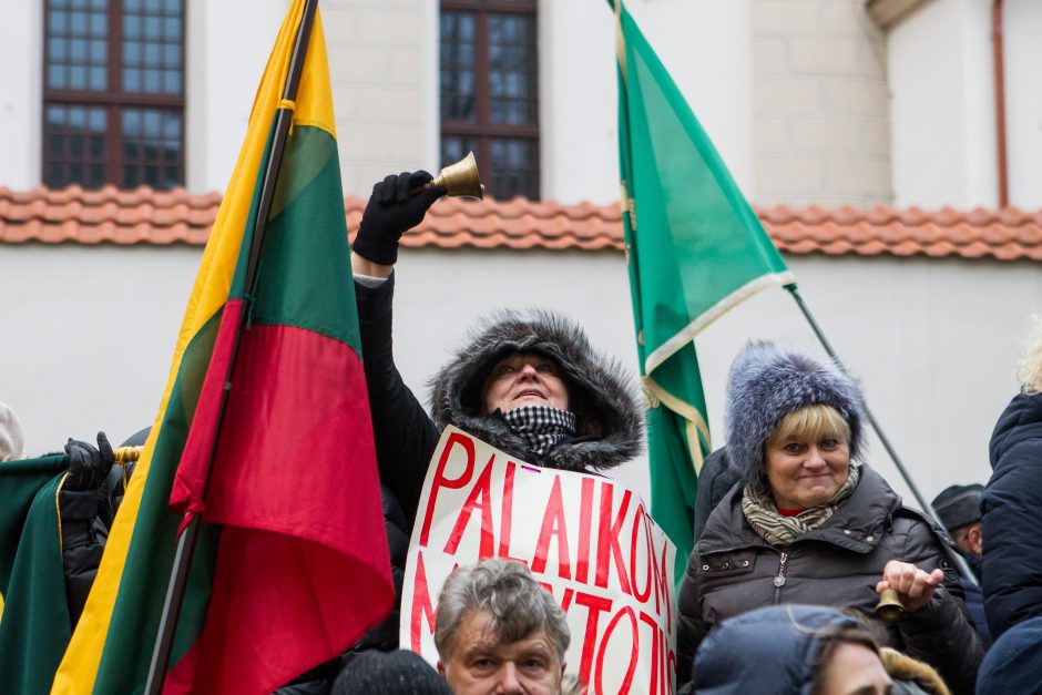 Vilniuje – mitingas dėl mokytojų algų, socialiniuose tinkluose verda aistros