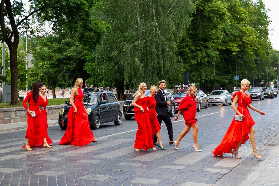 Kampanijos „Raudona suknelė“  labdaros renginys