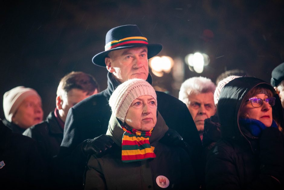 Šimtai žmonių Laisvės gynėjų dieną minėjo prie Seimo