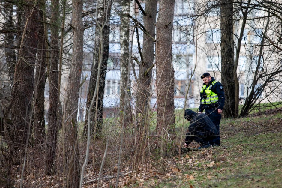 Galimai pagrobtos mergaitės paieška Vilniuje