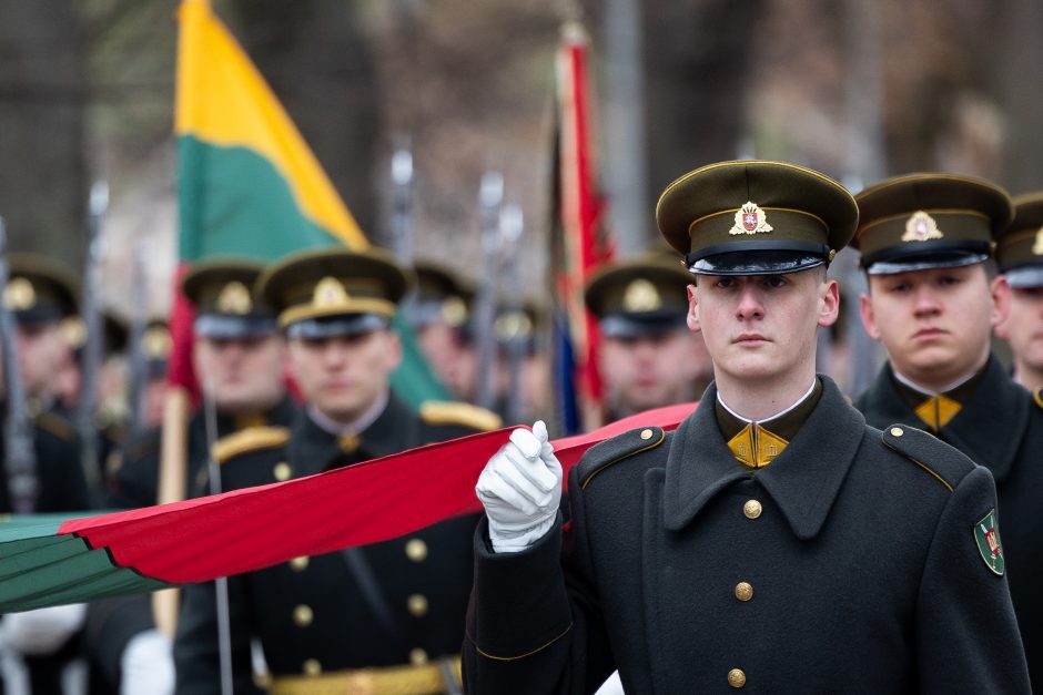 Seimo vadovė: savanoriai, iškėlę vėliavą Gedimino bokšte, dabar Lietuva didžiuotųsi
