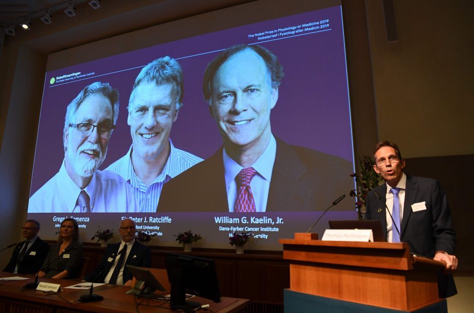 2019-ųjų Nobelio medicinos premija: kuo atradimai yra susiję su vaistais nuo vėžio