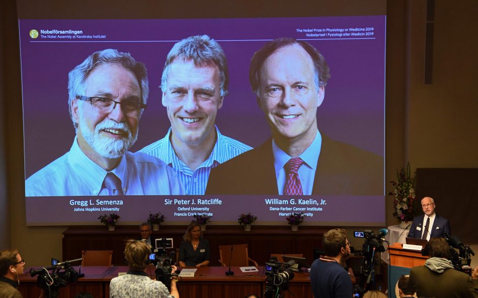 2019-ųjų Nobelio medicinos premija paskirta dviem amerikiečiams ir britui