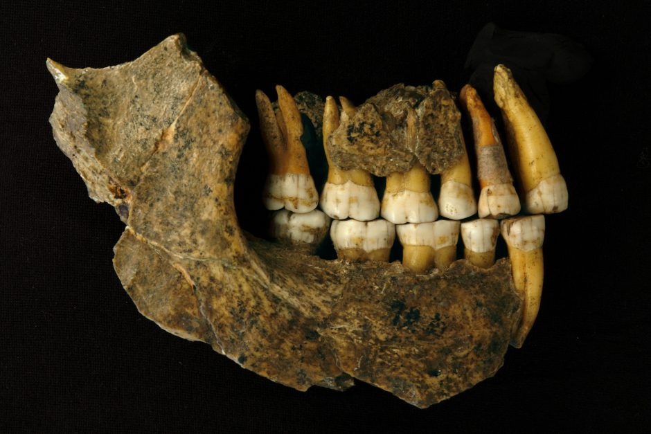 Tyrimas: neandertaliečiai Europoje išnyko anksčiau, negu manyta