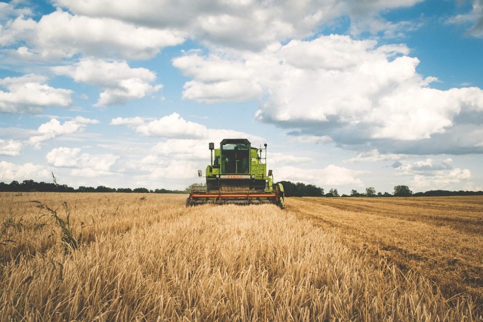 Lietuvoje pradedamas visuotinis žemės ūkio surašymas