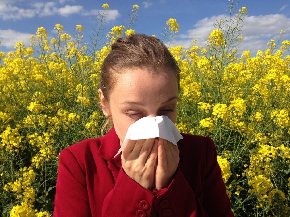 Perspėja: besibaigiant vasarai alergiškiems žmonėms problemų nesumažėja