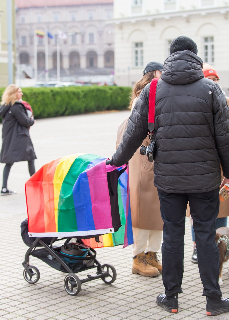 LGBT vaiko mama apie palaikymo renginį prie Prezidentūros: to nesitikėjau
